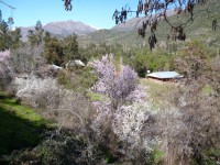 /album/cielo-andino-turismo-chile/p1000362-medium-jpg/
